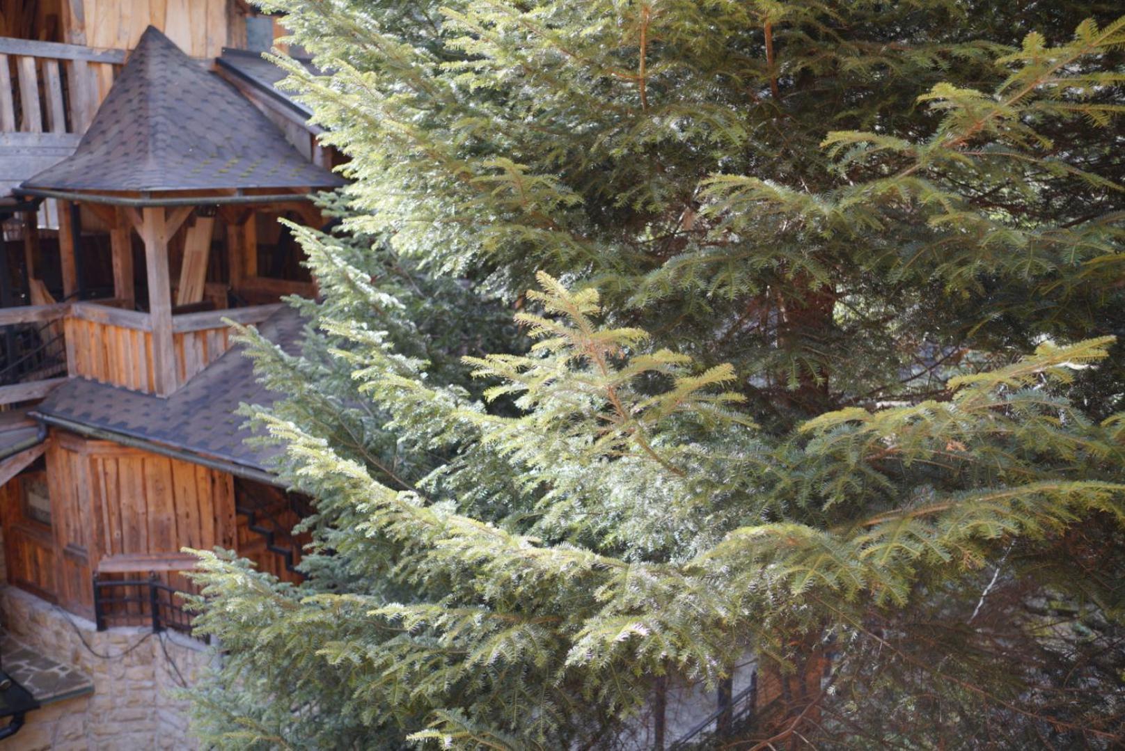 Садиба Nad Prutom Iaremcea Exterior foto