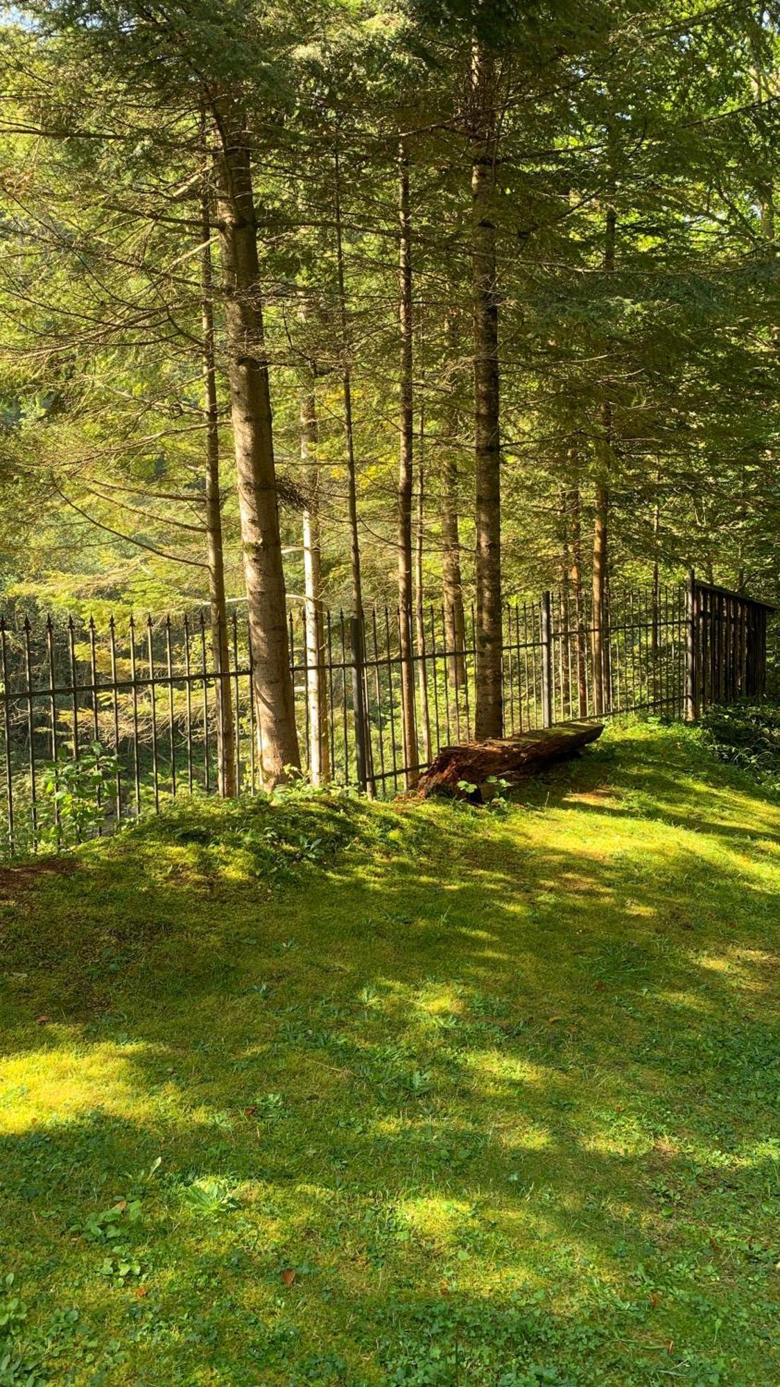 Садиба Nad Prutom Iaremcea Exterior foto