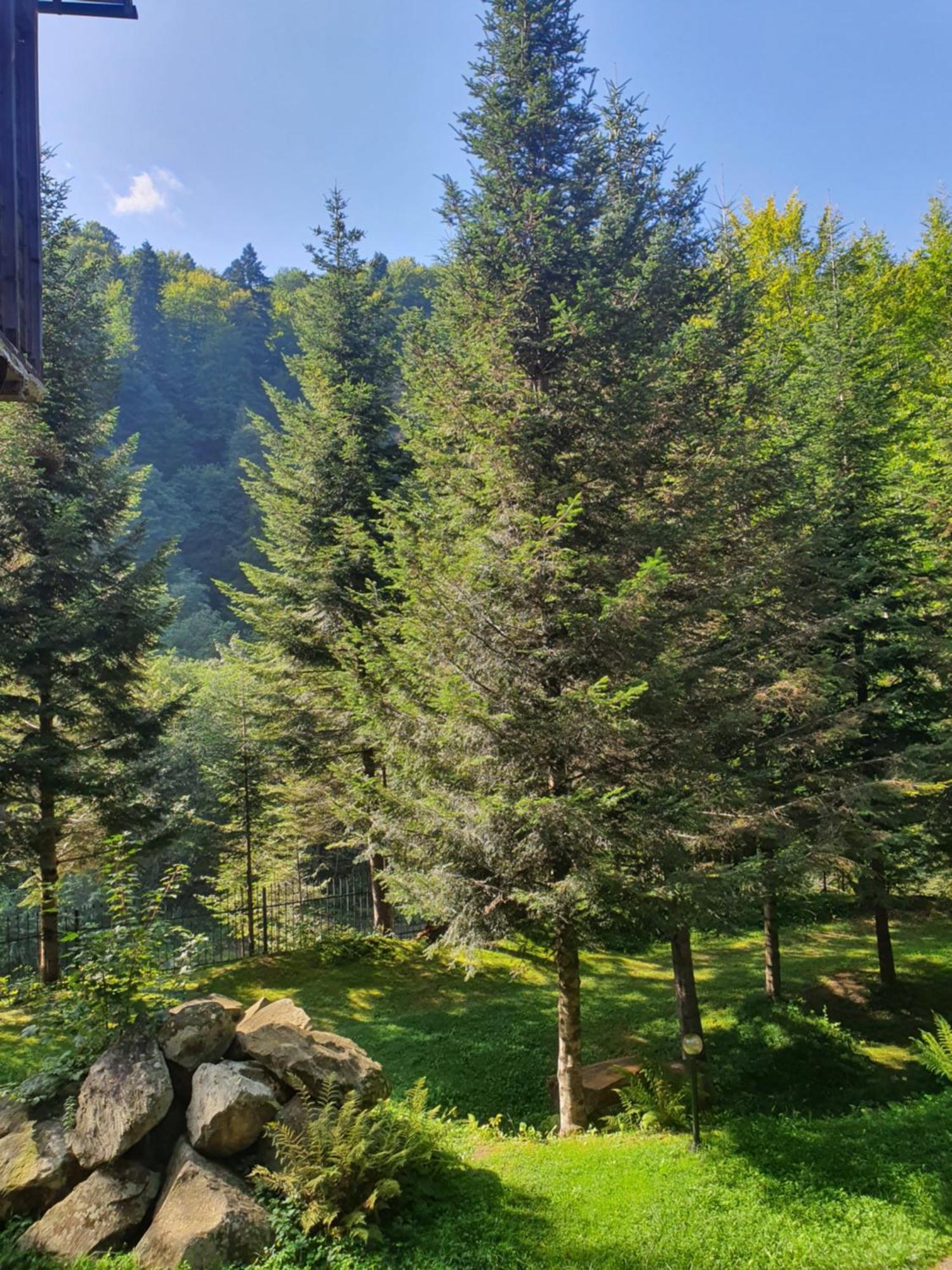 Садиба Nad Prutom Iaremcea Exterior foto